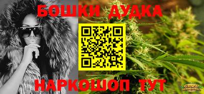 ГАЛЛЮЦИНОГЕННЫЕ ГРИБЫ Обь