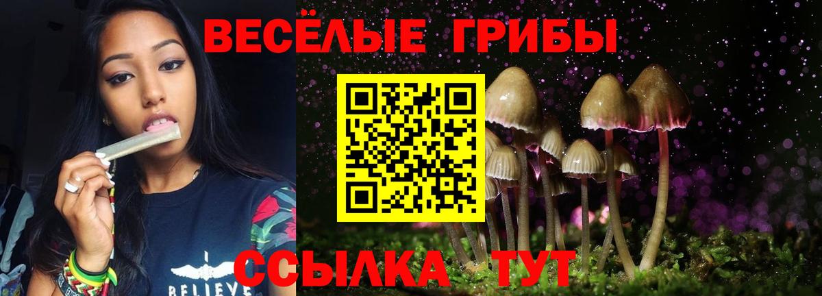 Галлюциногенные грибы GOLDEN TEACHER  Вход с VPN  Ростов Великий 